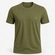 Verde musgo